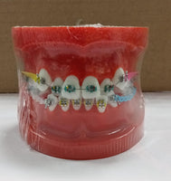 TOOTH MODEL