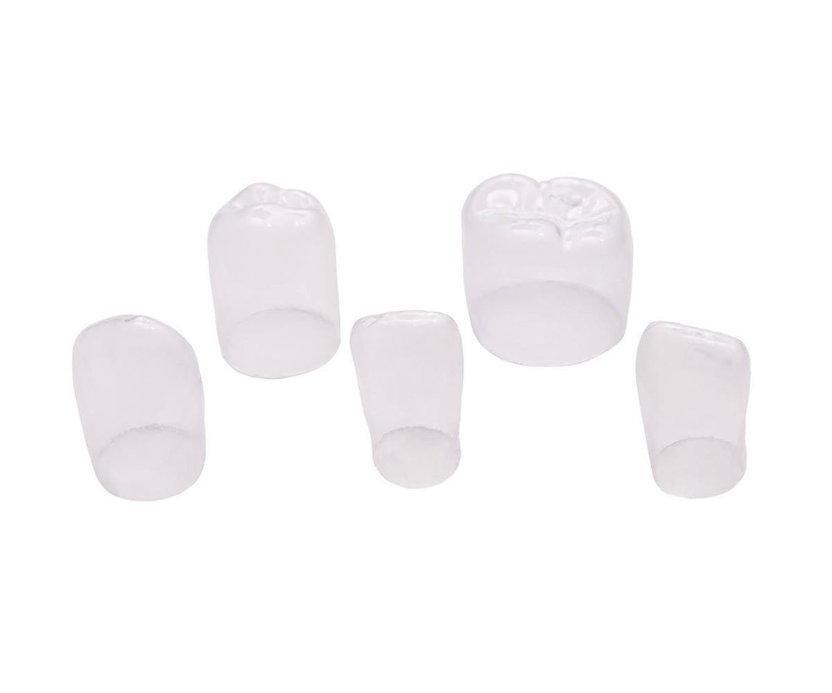 AL FAYROUZ MEDICAL EQUIPMENTS TRADING Transparent crowns Transparent crowns