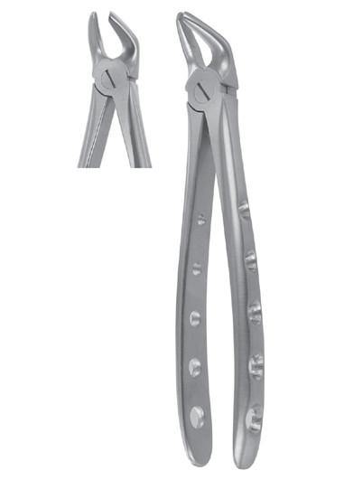 AL FAYROUZ MEDICAL EQUIPMENTS TRADING 25.00 Dental instruments AL FAYROUZ MEDICAL EQUIPMENTS TRADING Extracting forcep lower premolars dental supplier dubai