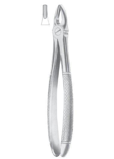 AL FAYROUZ MEDICAL EQUIPMENTS TRADING 25.00 Dental instruments AL FAYROUZ MEDICAL EQUIPMENTS TRADING Extracting forcep - upper central and canines dental supplier dubai