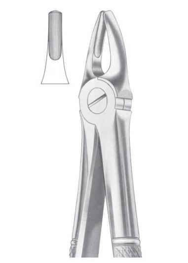 AL FAYROUZ MEDICAL EQUIPMENTS TRADING 25.00 Dental instruments AL FAYROUZ MEDICAL EQUIPMENTS TRADING Extracting forcep-upper lateral and canines dental supplier dubai