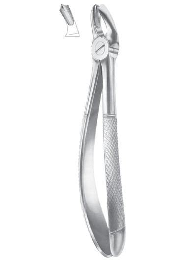 AL FAYROUZ MEDICAL EQUIPMENTS TRADING 25.00 Dental instruments AL FAYROUZ MEDICAL EQUIPMENTS TRADING Extracting forcep- right upper molar dental supplier dubai